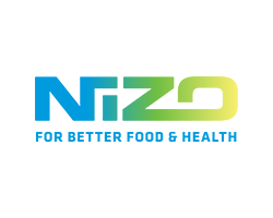 Nizo